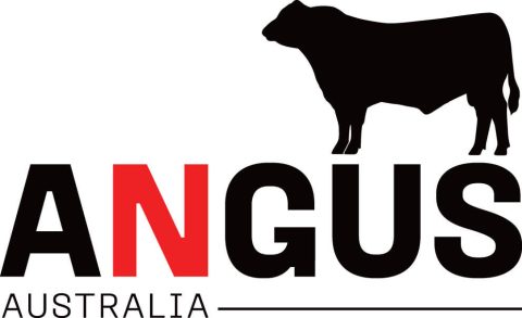 Angus Australia Logo